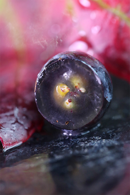 img-gamay